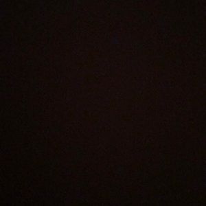 Meet your Posher, Reagan